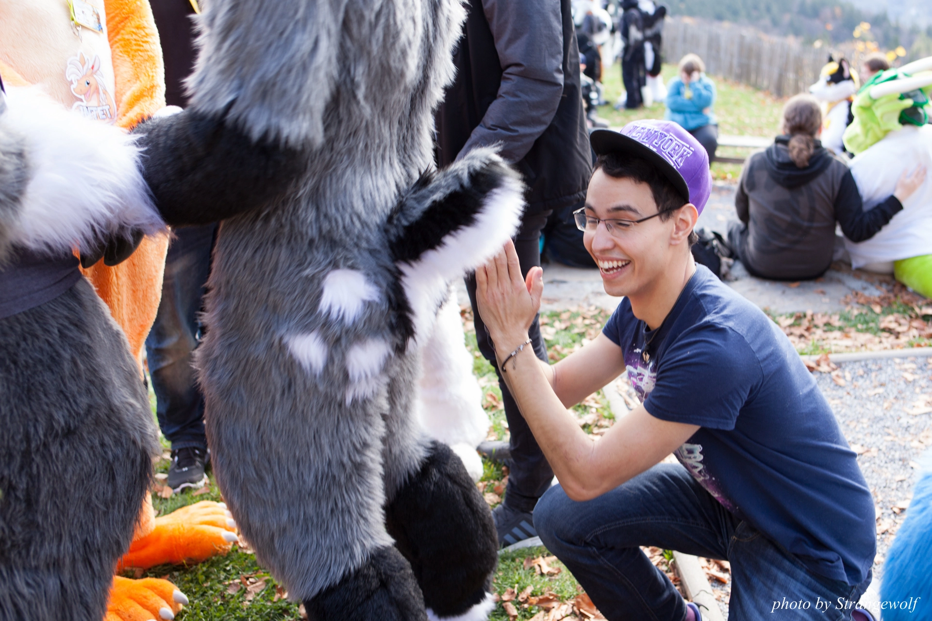 full image IMG_7885-lr19t.jpg