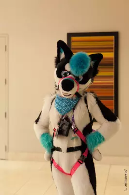 IMG_7356-lr19t.jpg of MFF/MFF2018/