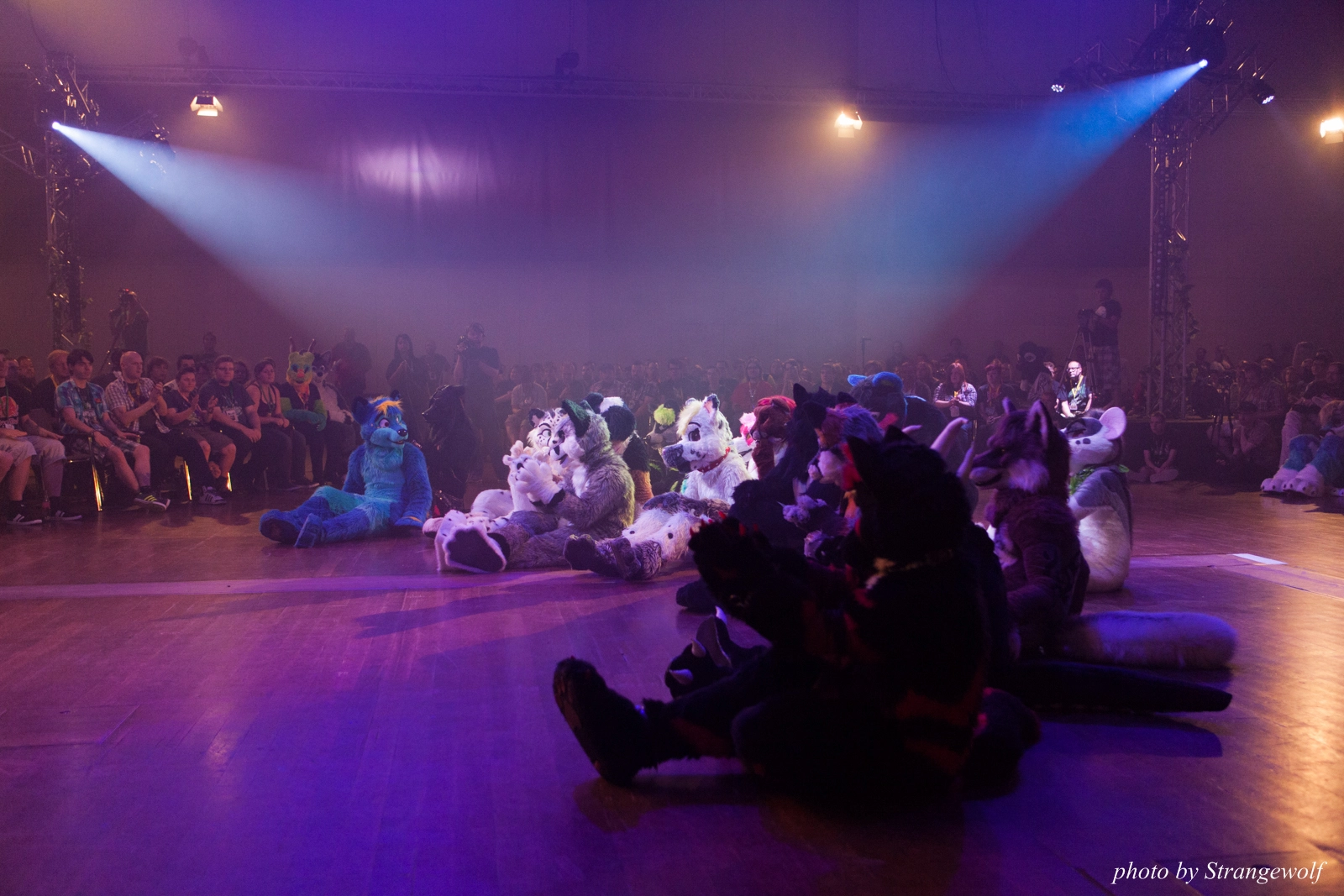full image IMG_2993-lr16t.jpg