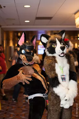 IMG_7273-lr.jpg of MFF/MFF2018/
