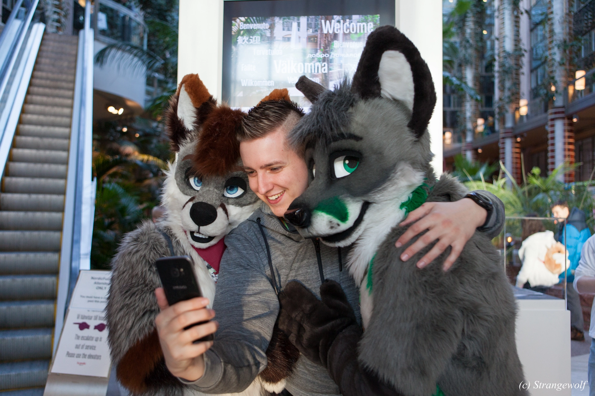 full image IMG_0165-lr19t.jpg