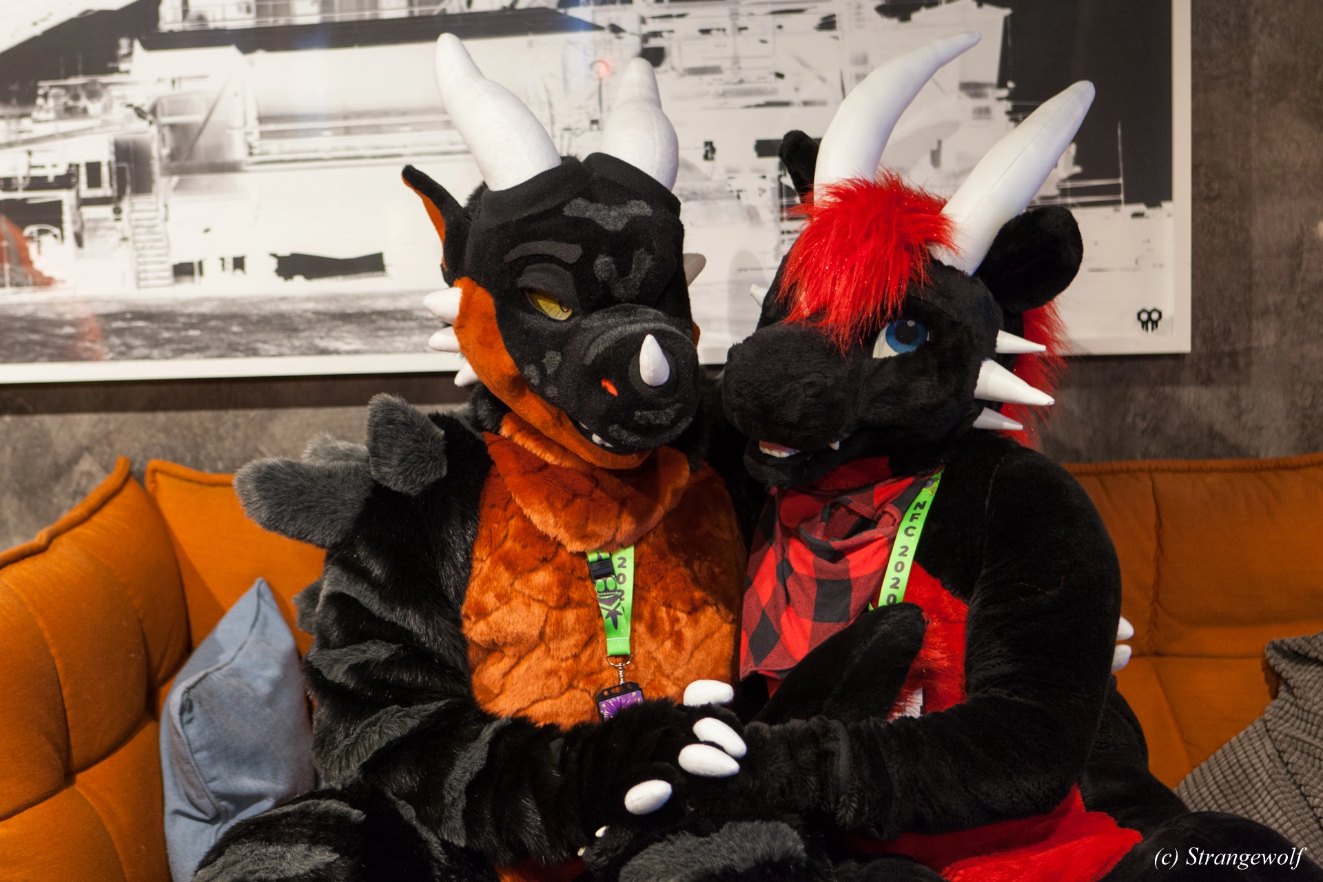 full image IMG_8924-lr19t.jpg