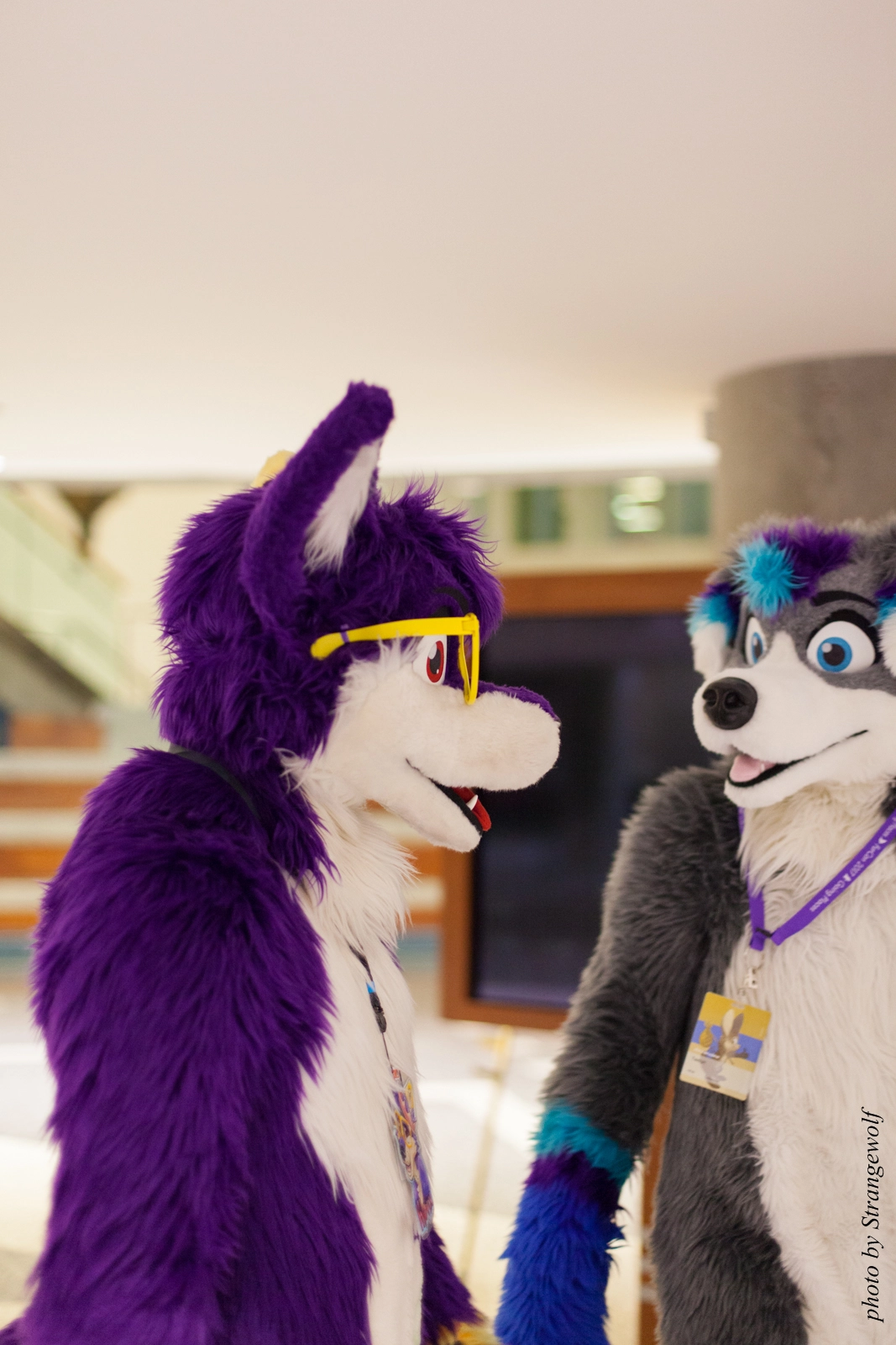 full image IMG_1252-lr16t.jpg