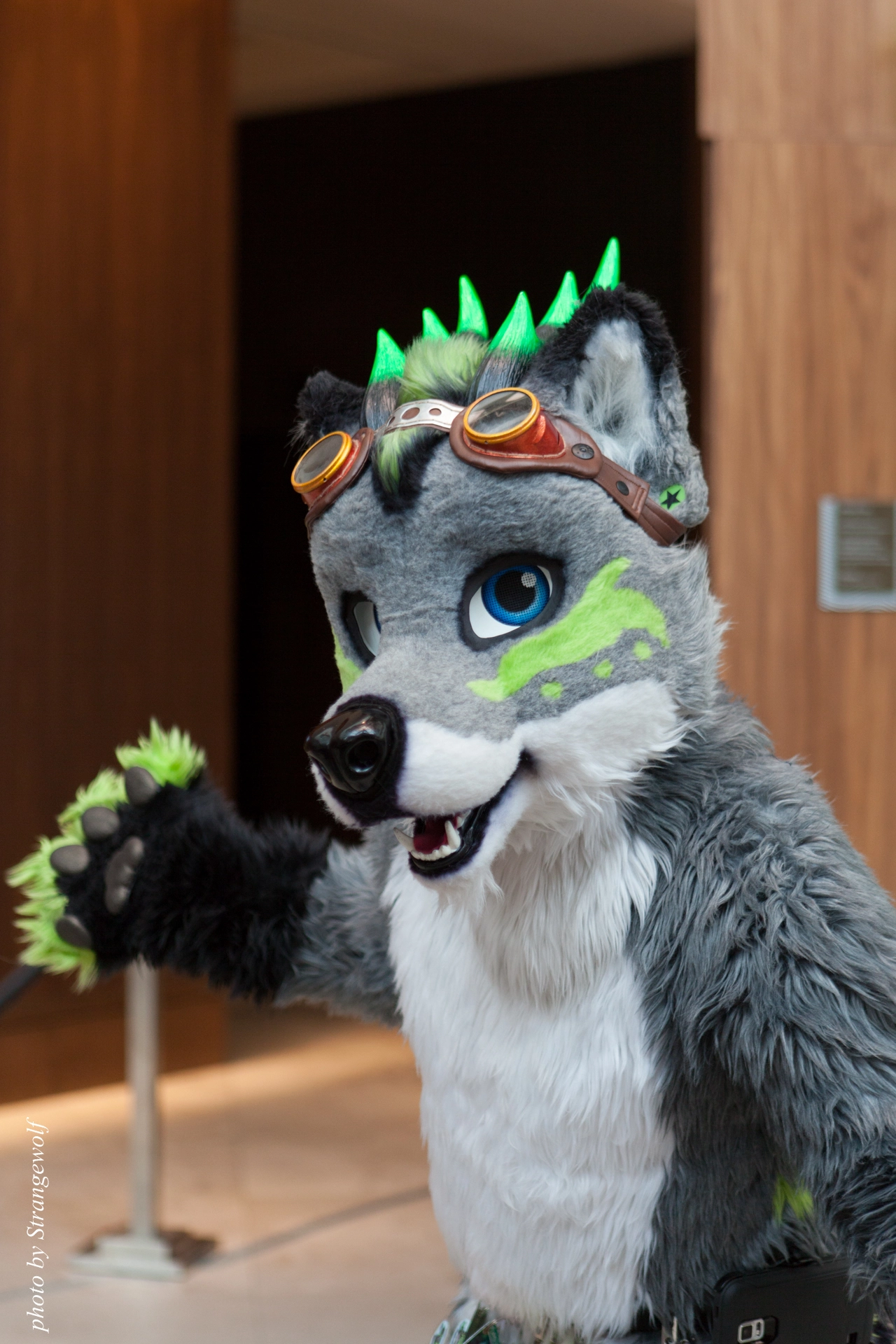 full image IMG_0675-lr19t.jpg