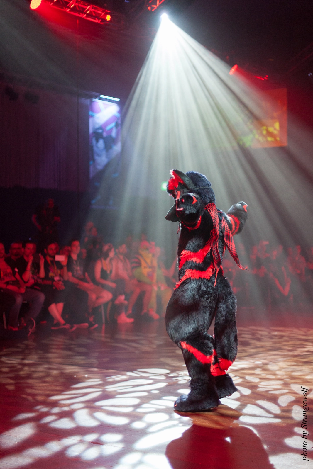 full image IMG_9160-lr16t.jpg