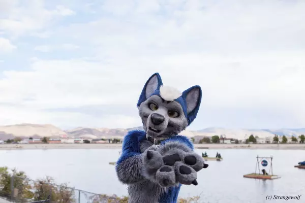 IMG_2669-lr19t.jpg of BLFC/2018/