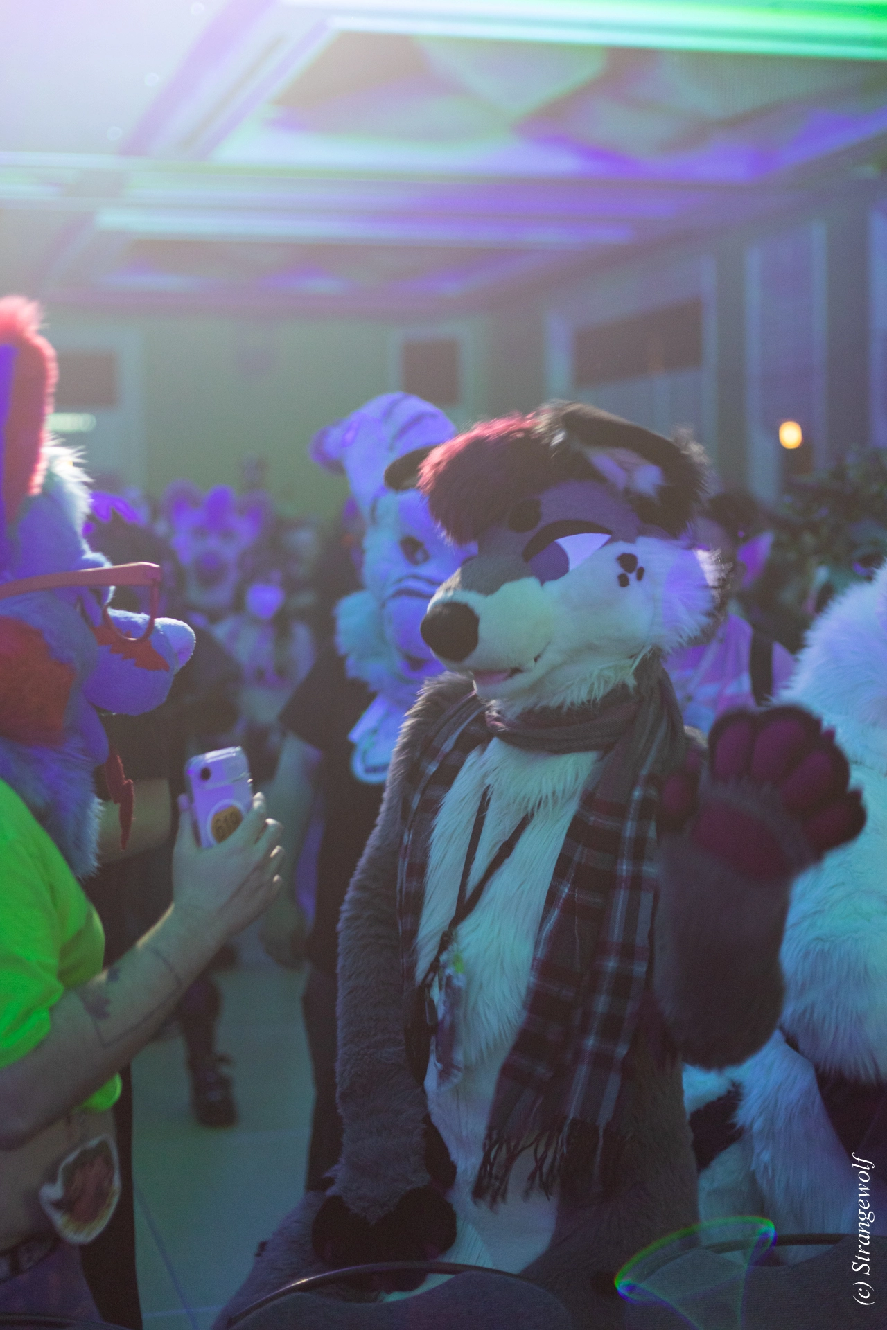 full image 1R3A0440-lr19t.jpg