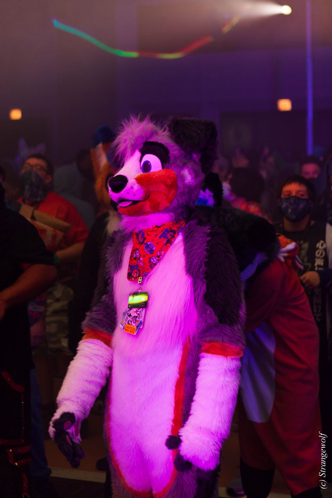 full image IMG_2281-lr19t.jpg