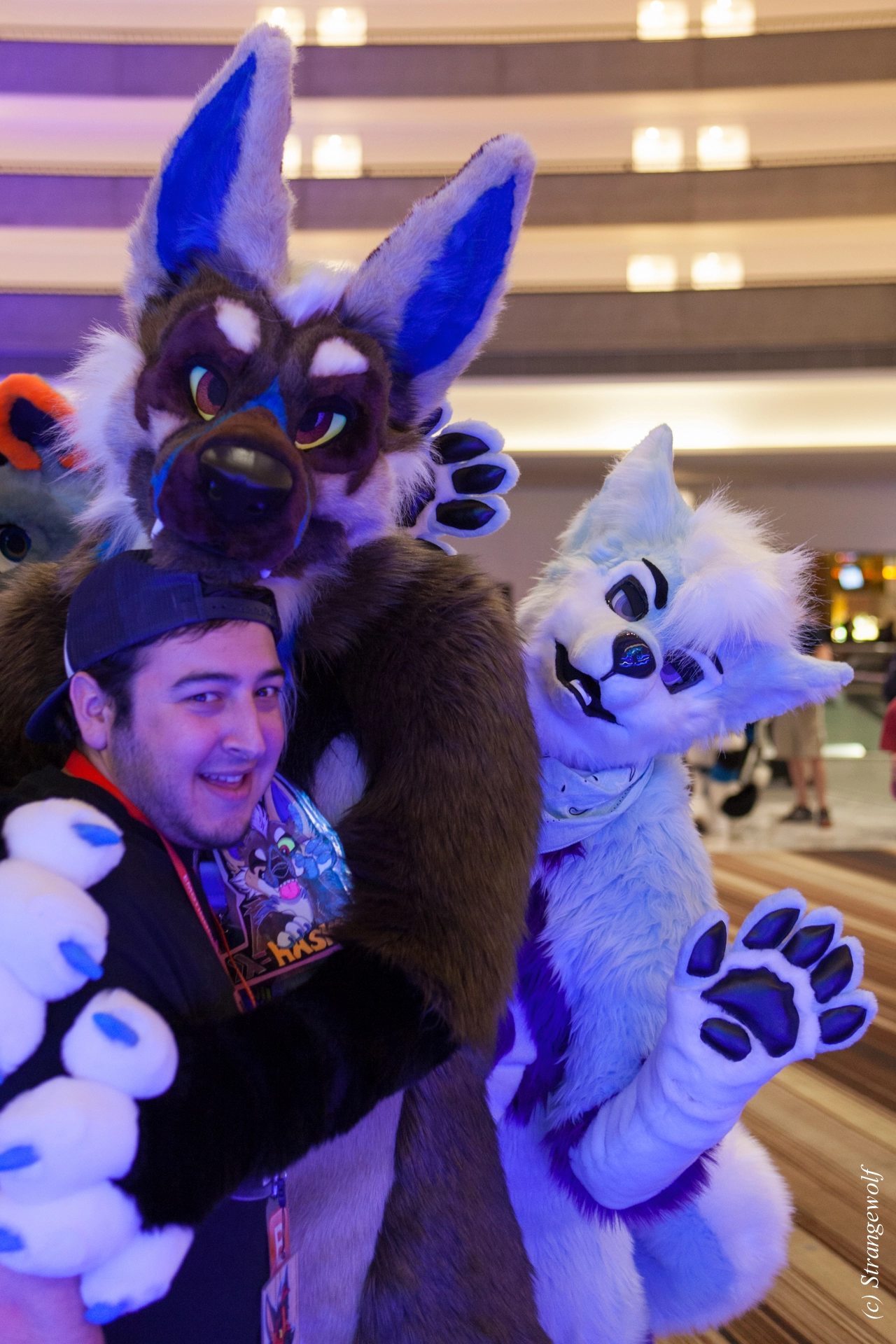 full image IMG_1309-lr19t.jpg