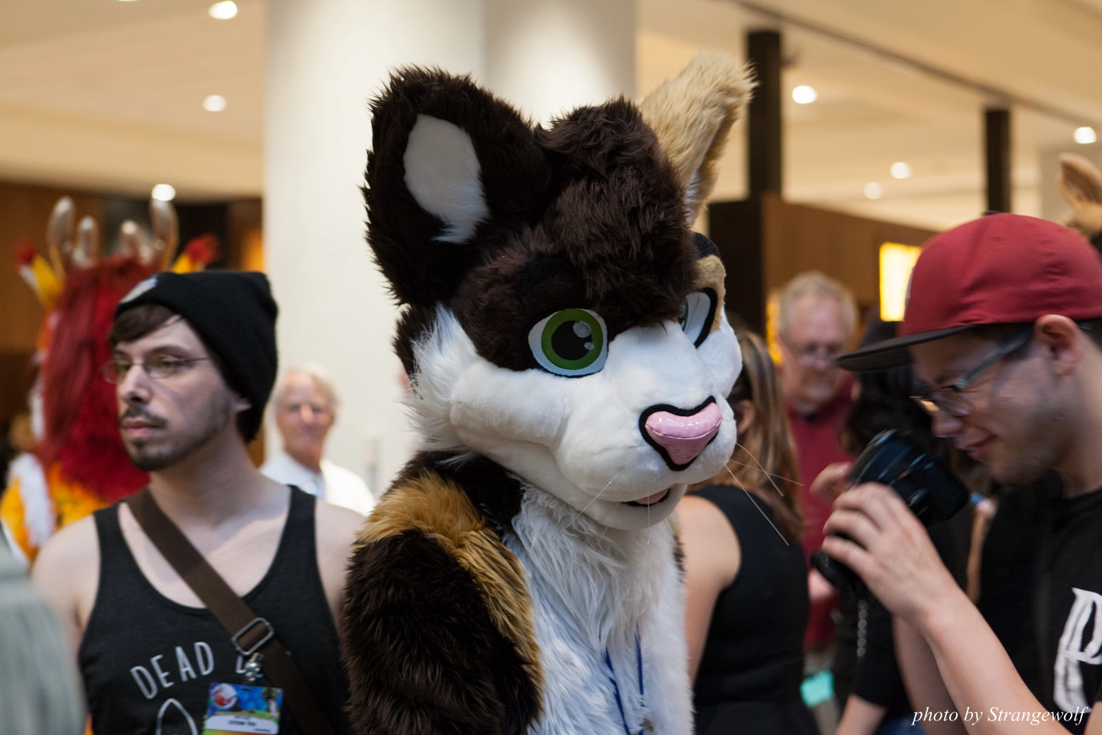 full image IMG_3956-lr16t.jpg