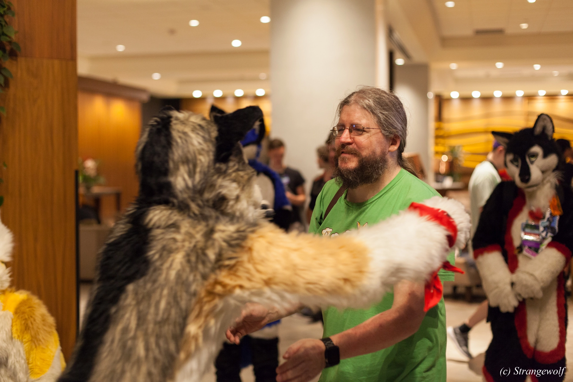 full image IMG_4636-lr19t.jpg