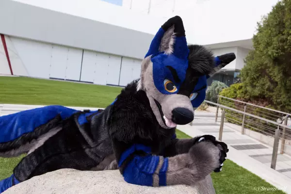 IMG_2802-lr19t.jpg of BLFC/2019/Fotoshoot-Slate/