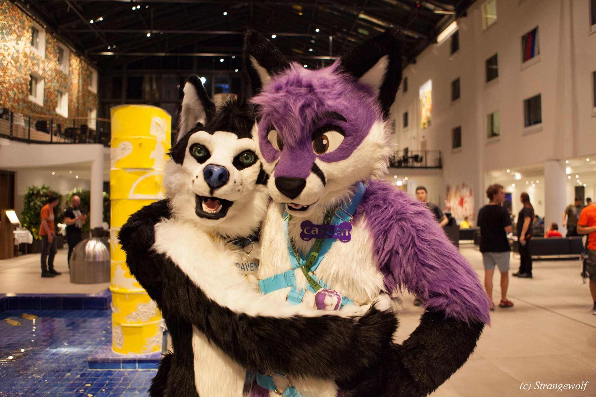 full image IMG_4832-lr19t.jpg