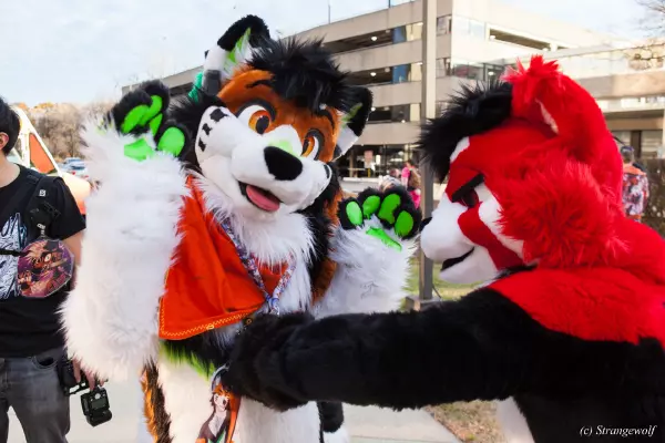 IMG_1504-lr19t.jpg of MFF/MFF2021/