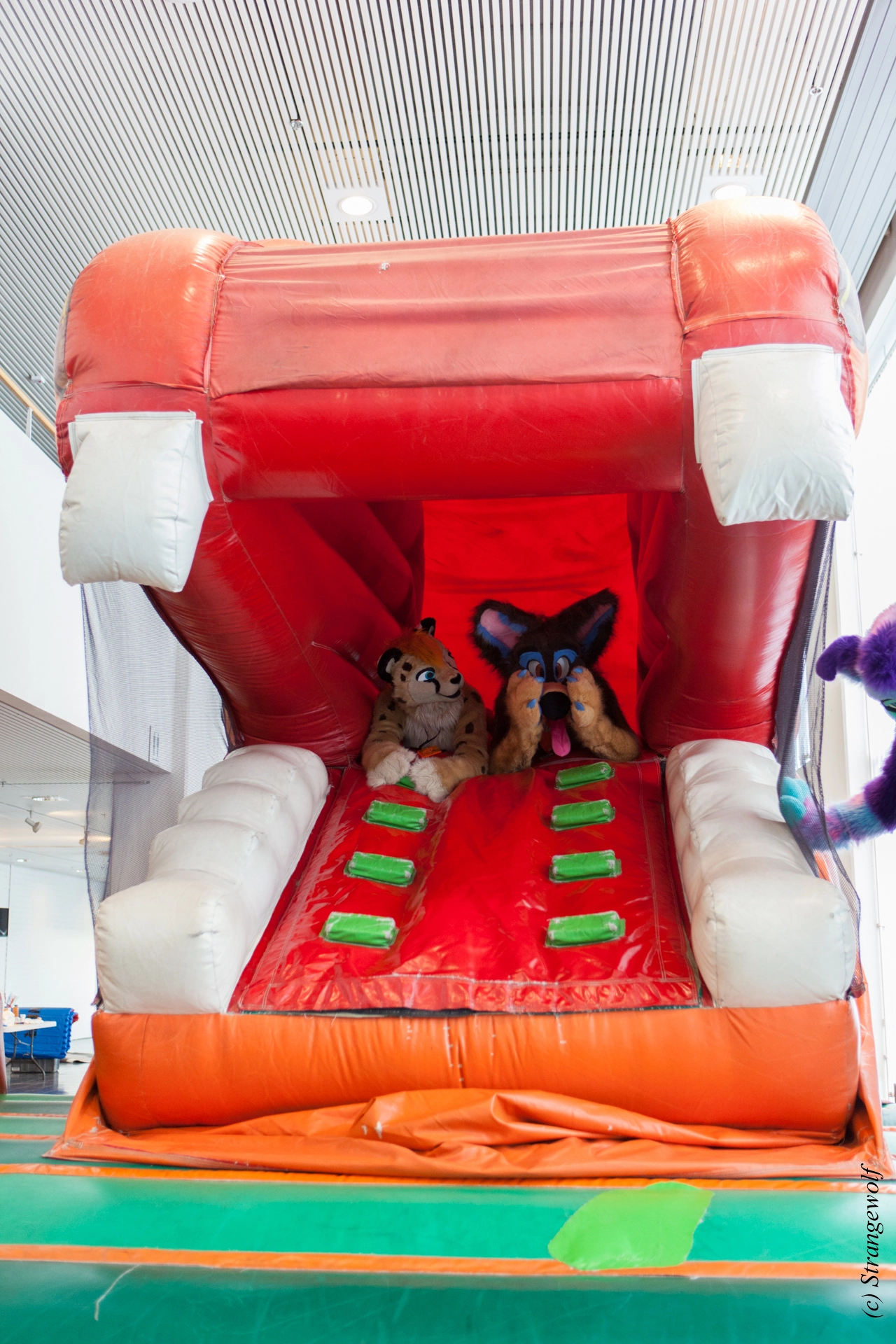 full image IMG_8831-lr19t.jpg