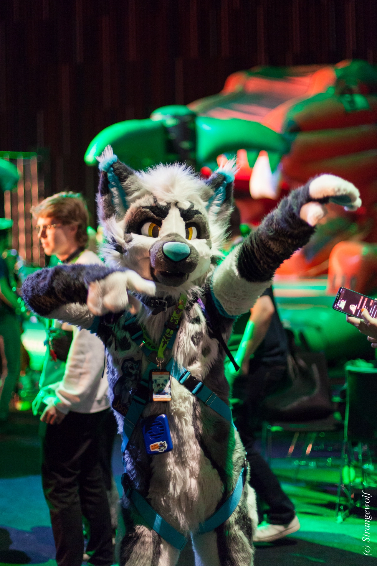 full image IMG_9345-lr19t.jpg