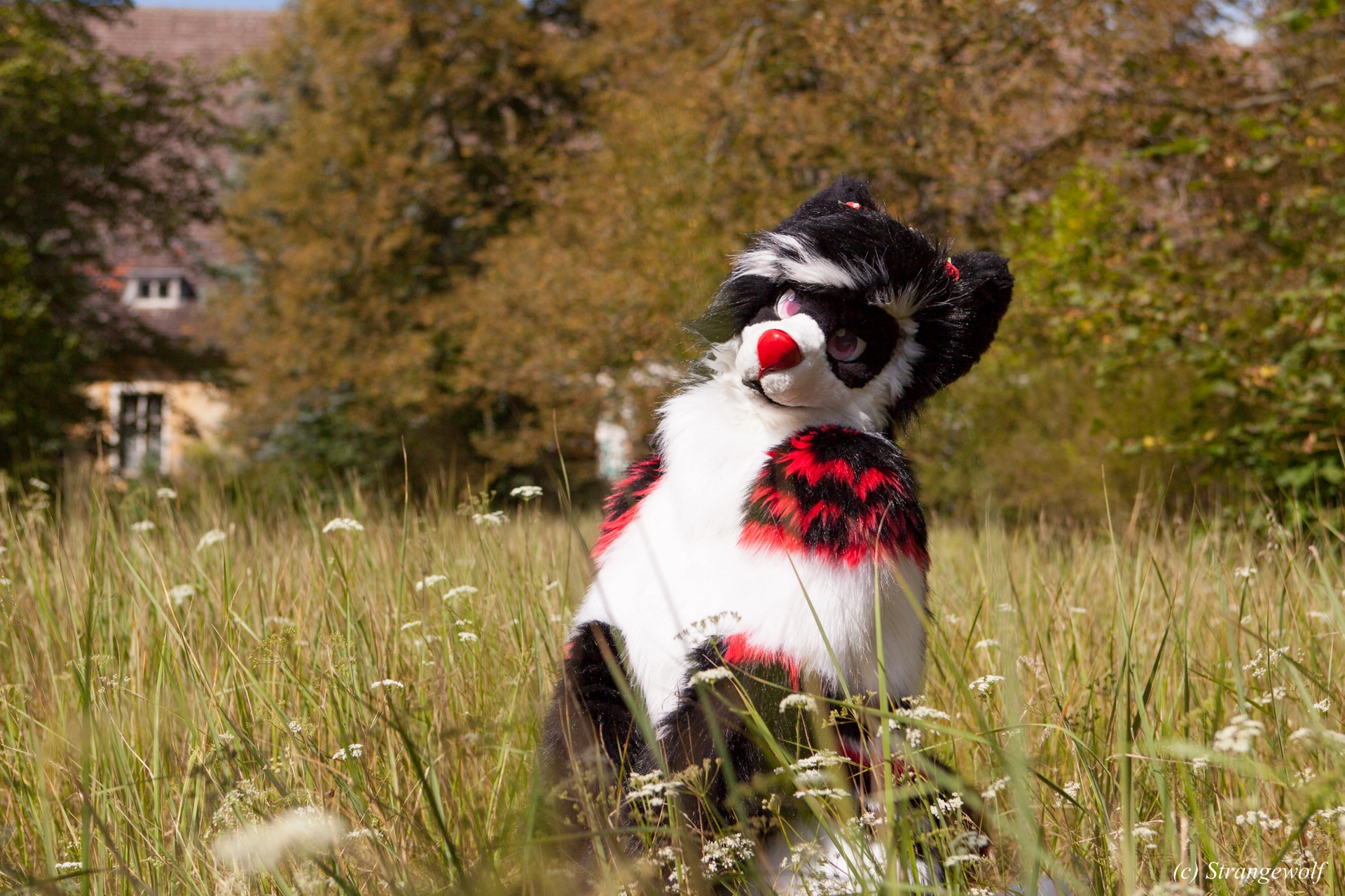 full image IMG_6214-lr19t.jpg