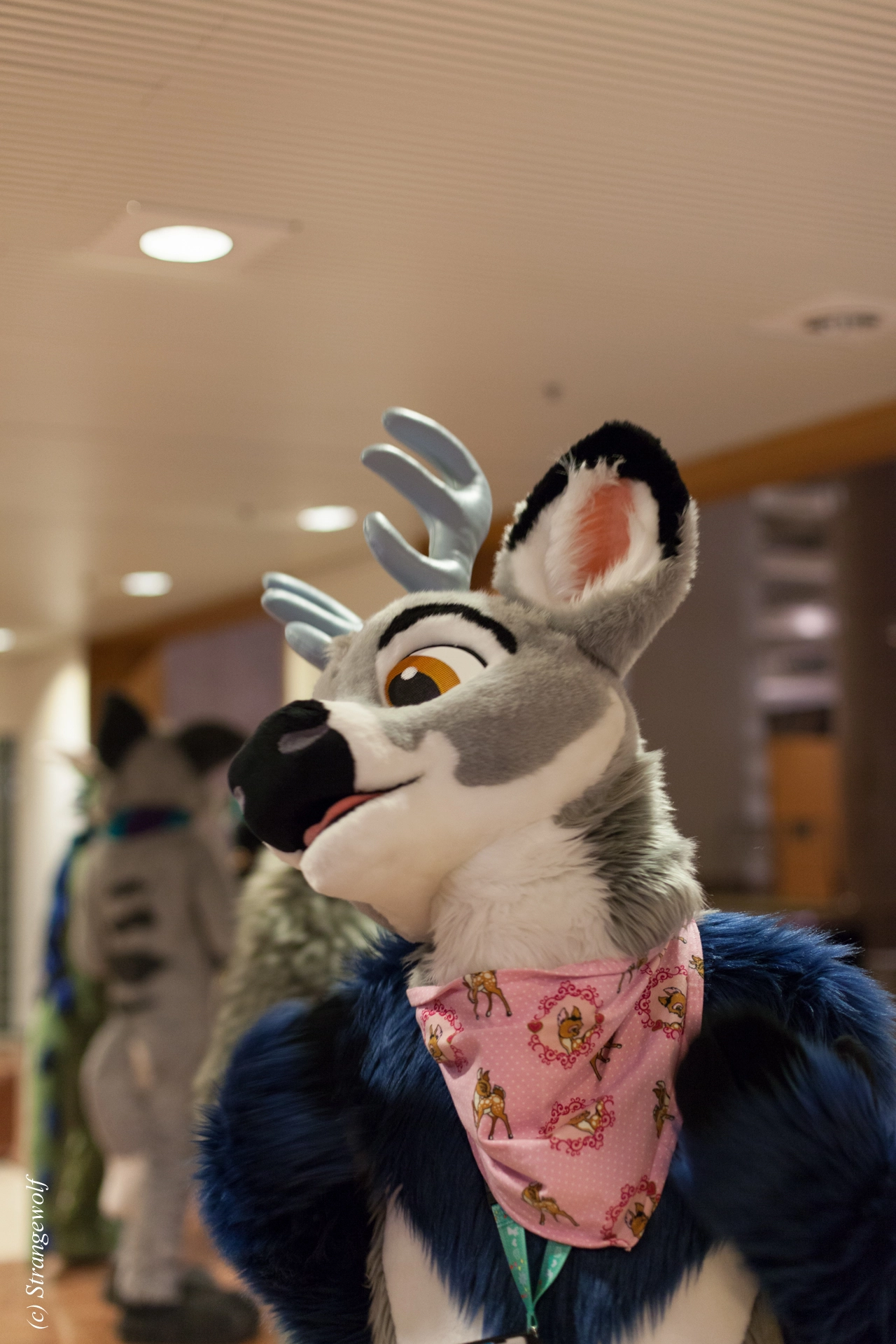 full image IMG_9168-lr19t.jpg