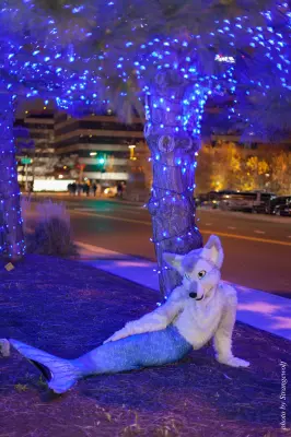 Next album: Photoshoot-Glitch_Merwusky