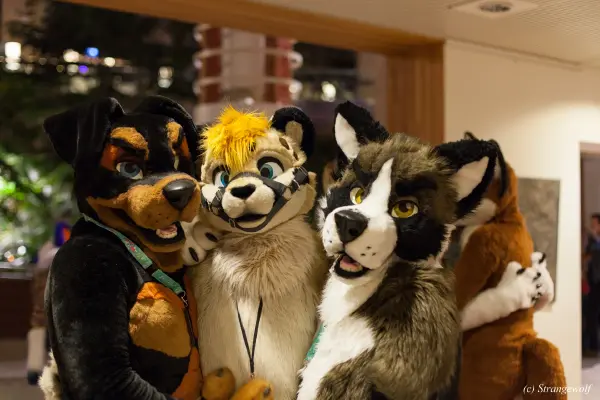 IMG_9101-lr19t.jpg of NFC/NFC2019/