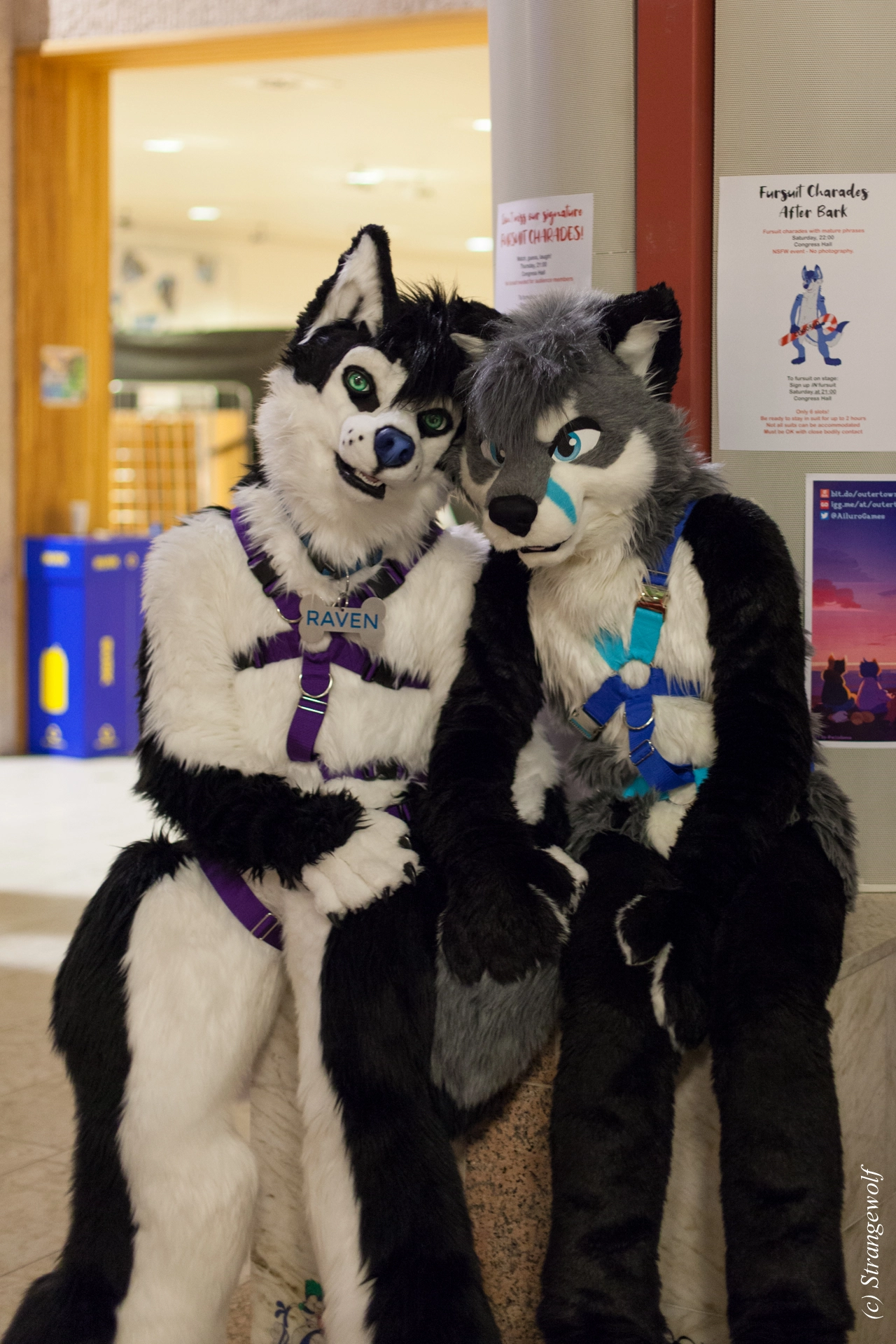 full image IMG_9374-lr19t.jpg