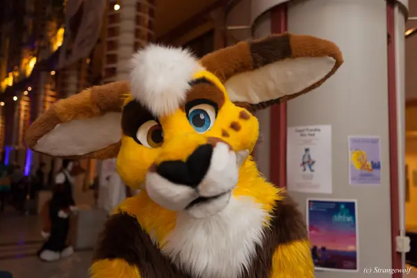 IMG_8921-lr19t.jpg of NFC/NFC2019/