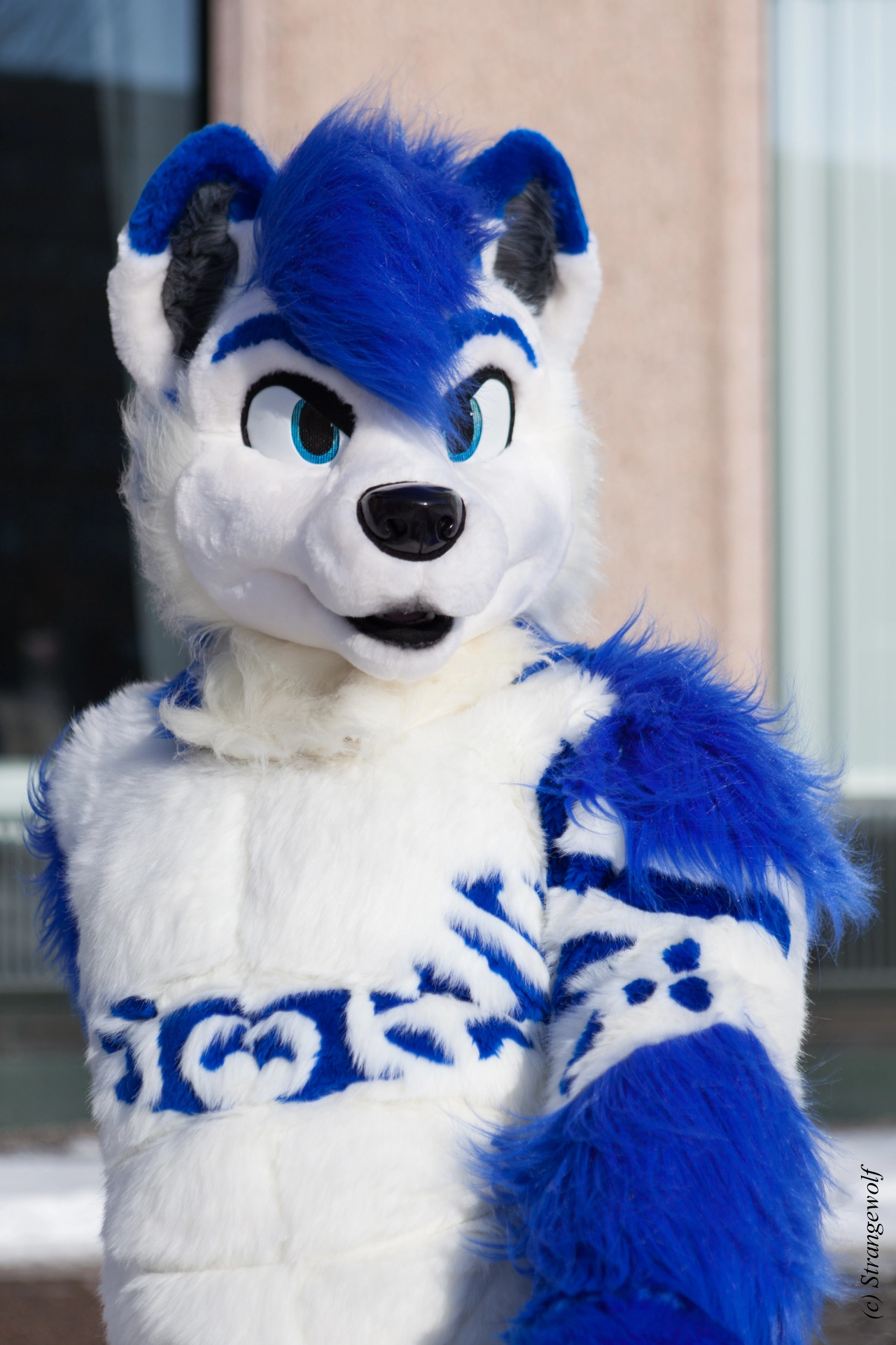 full image IMG_9736-lr19t.jpg