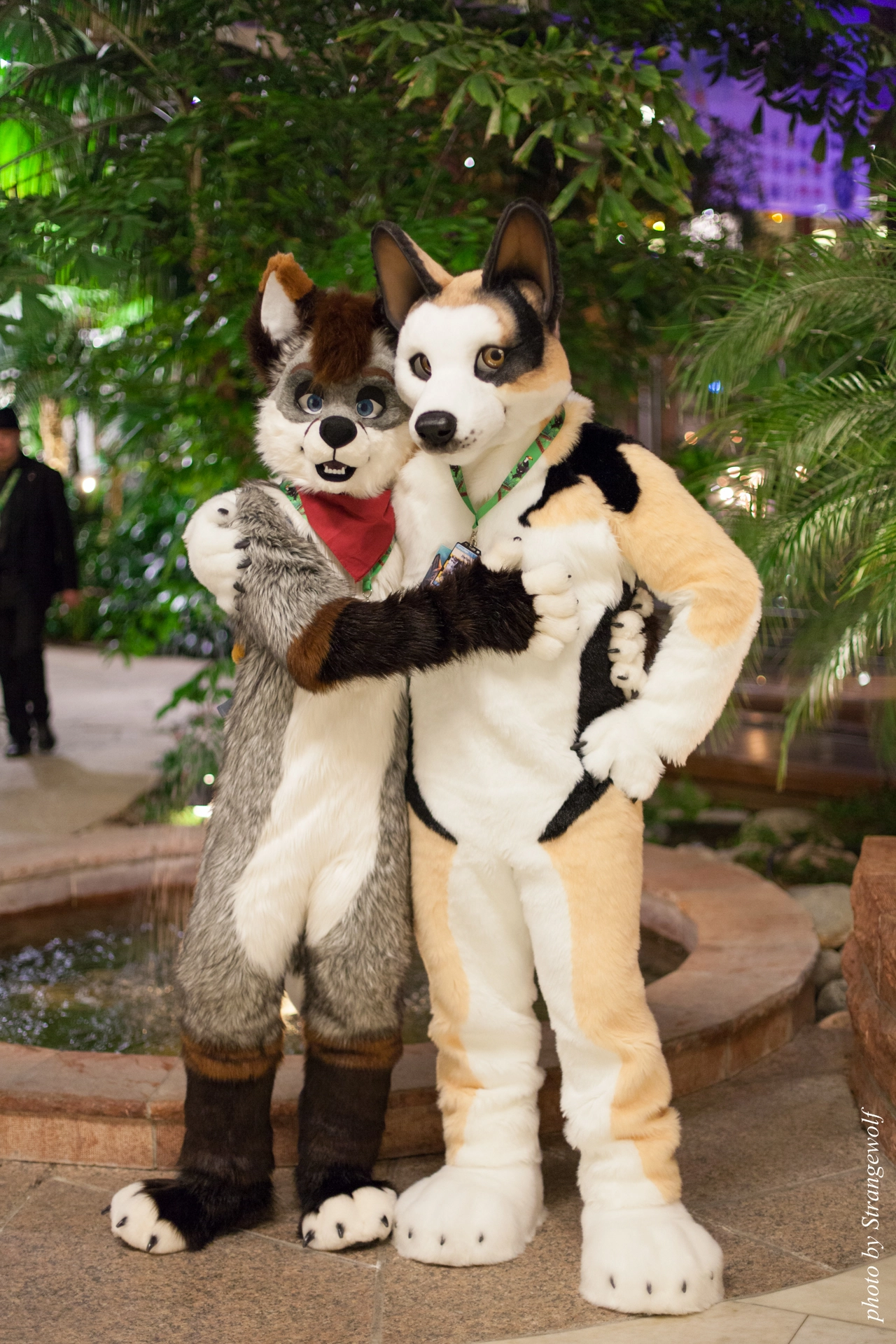 full image IMG_9236-lr19t.jpg