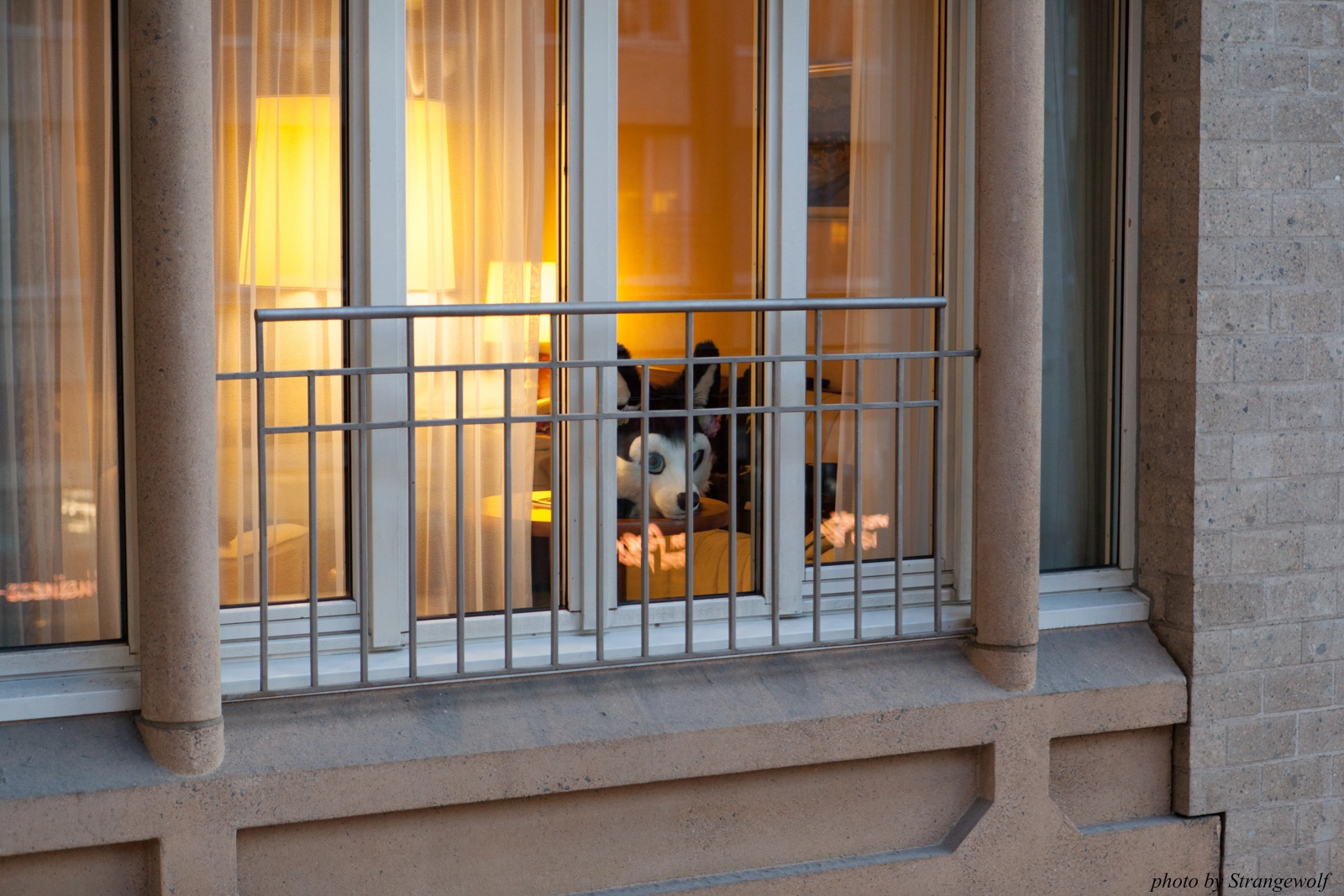 full image IMG_1199-lr16t.jpg