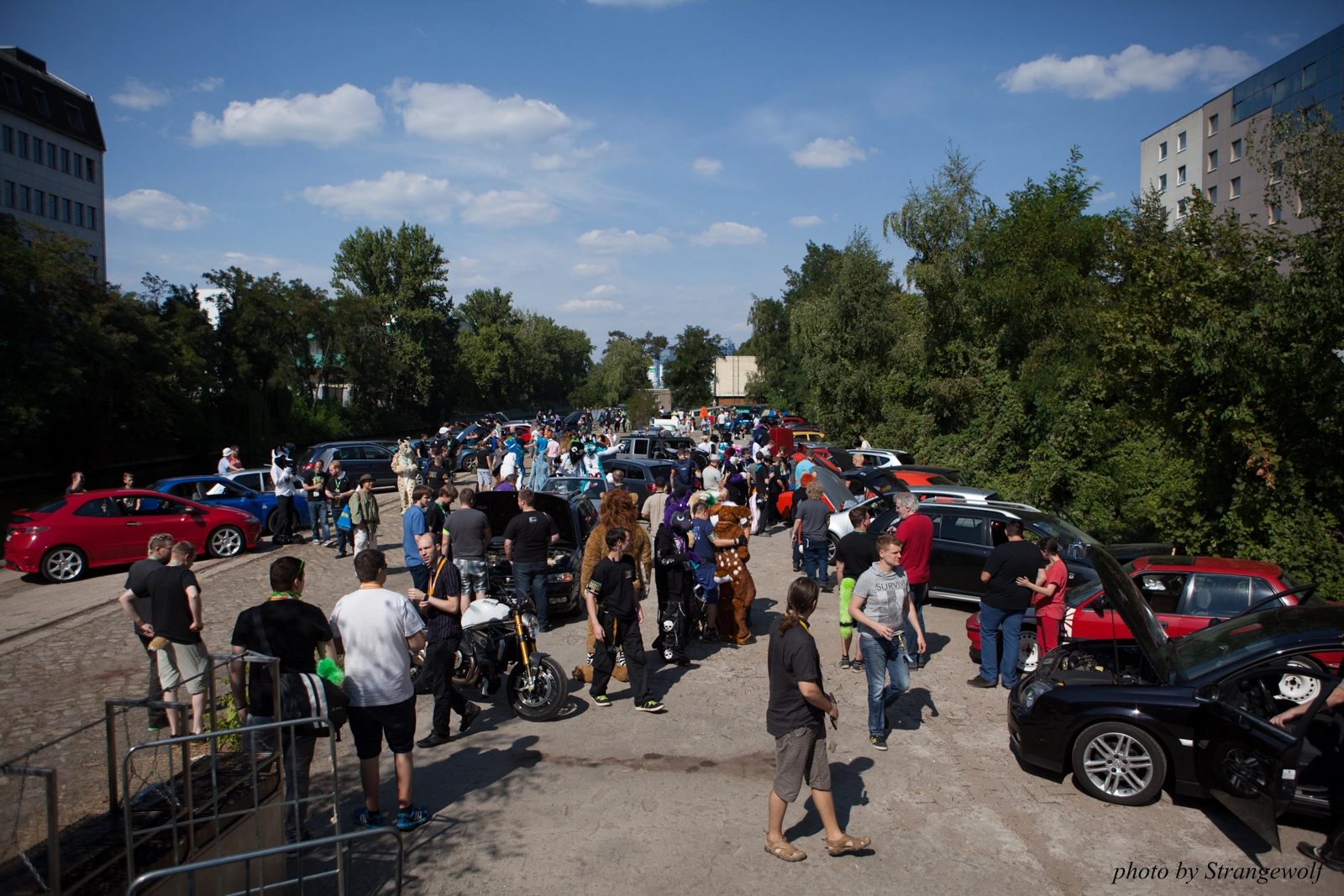 full image IMG_2300-lr16t.jpg