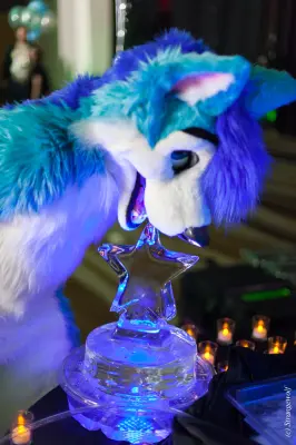 IMG_2066-lr19t.jpg of FWA/FWA2018/