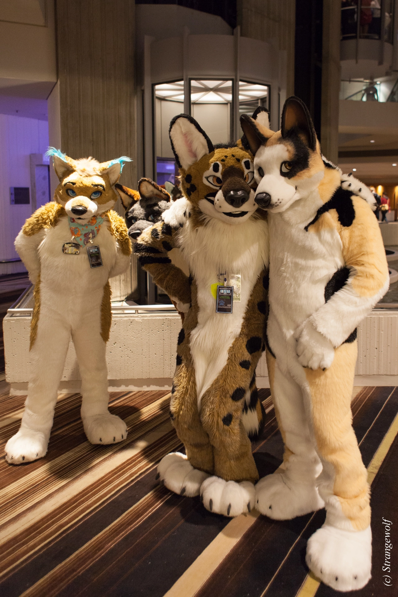 full image IMG_1645-lr19t.jpg