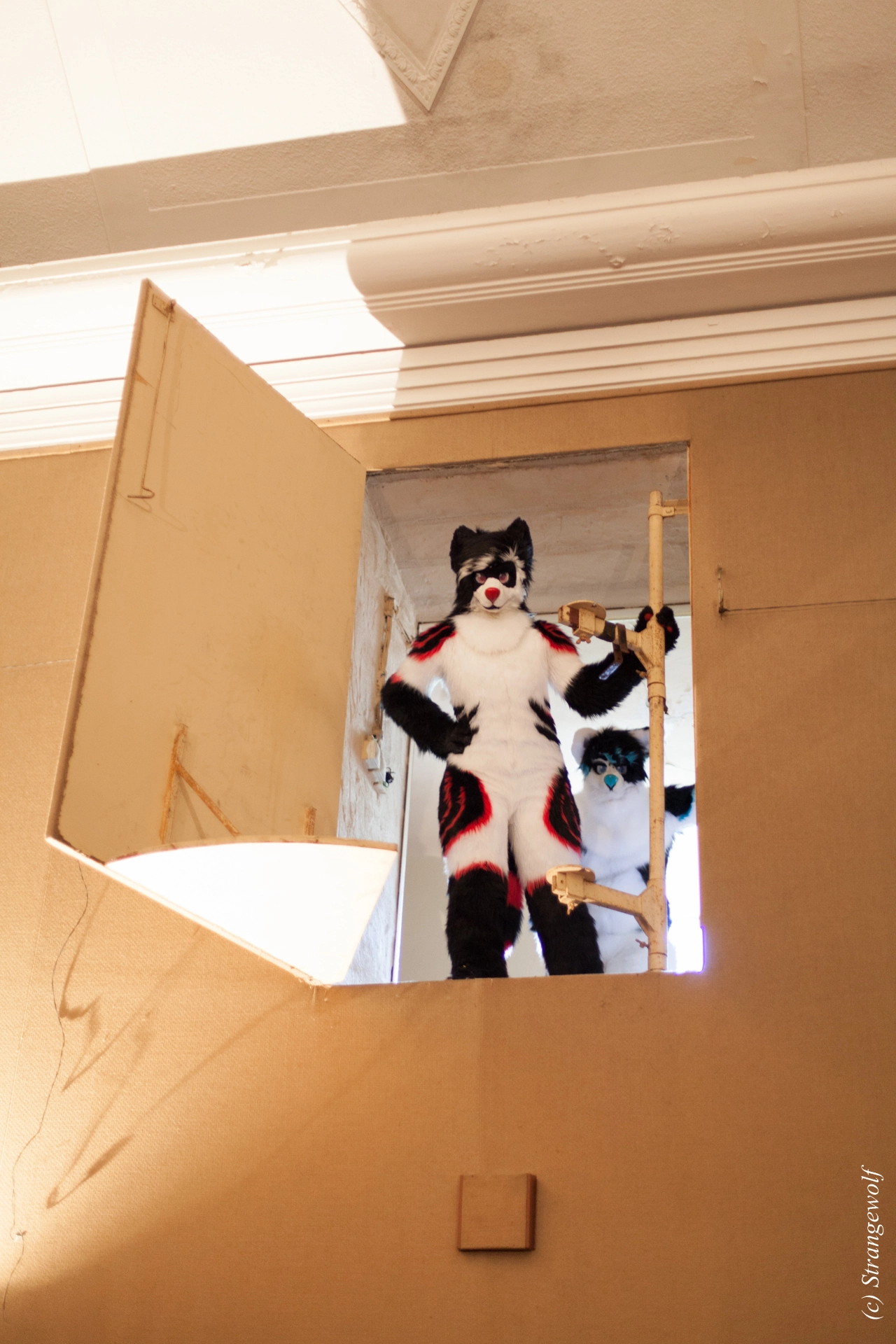 full image IMG_5869-lr19t.jpg