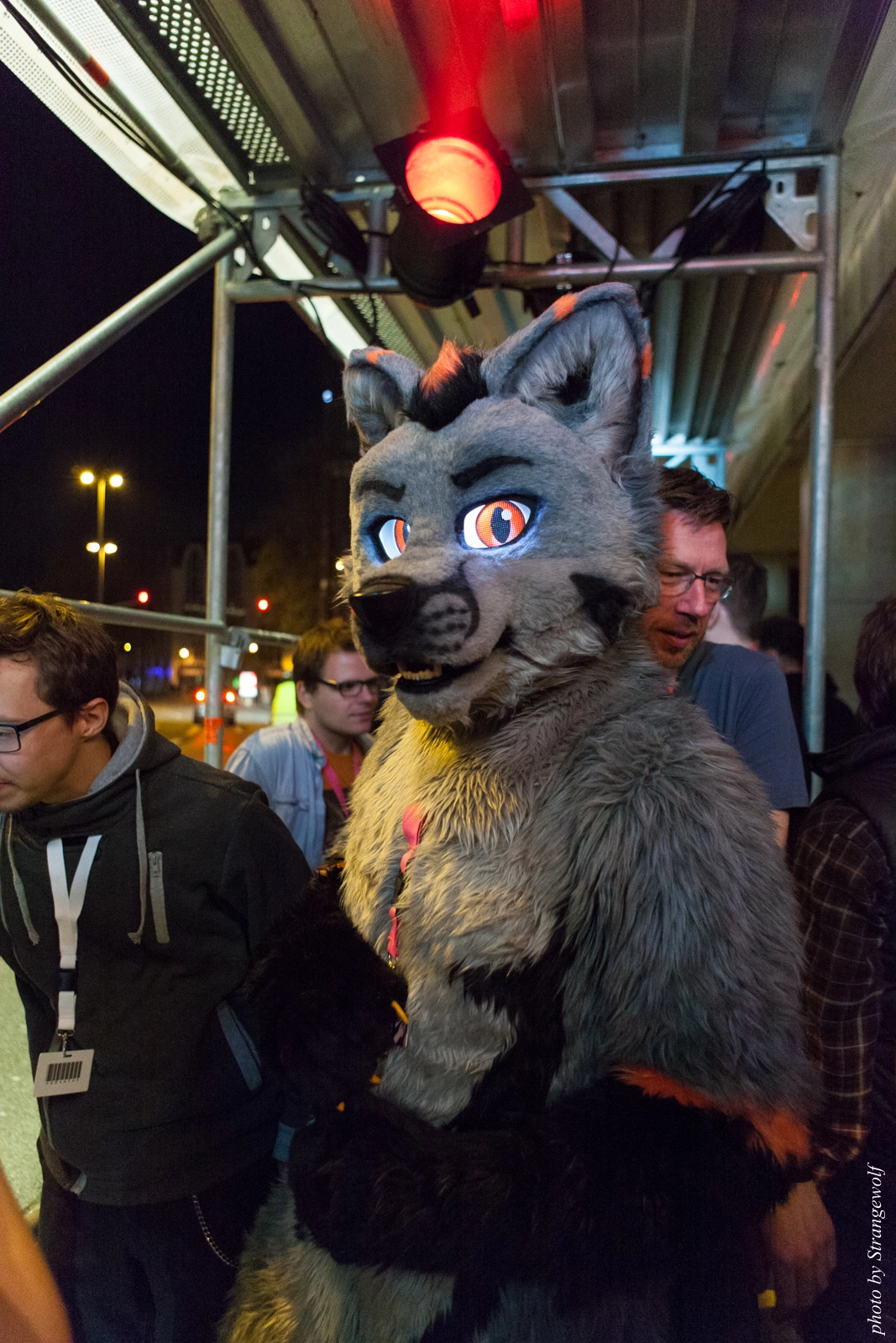 full image IMG_5449-lr16t.jpg