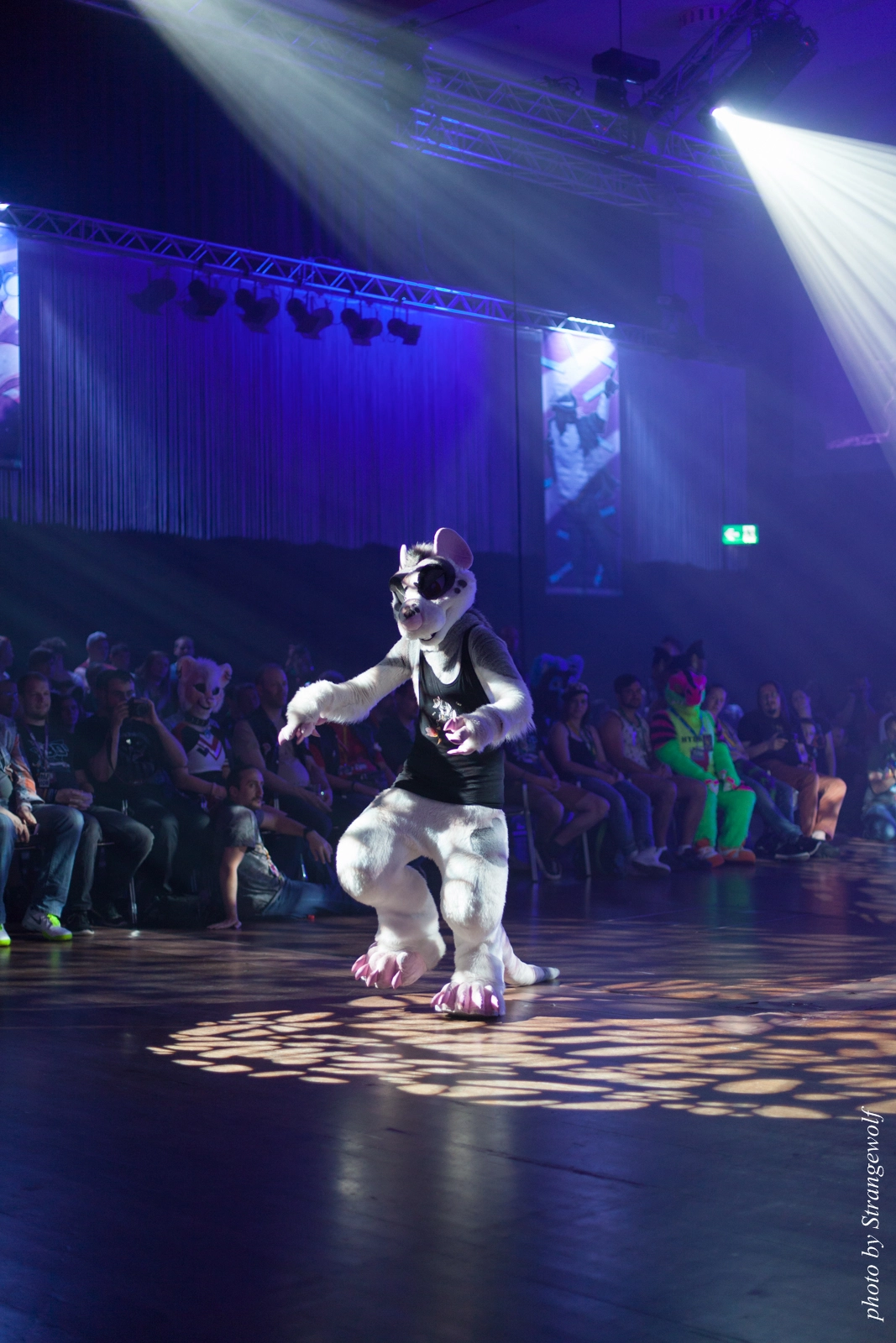 full image IMG_9093-lr16t.jpg