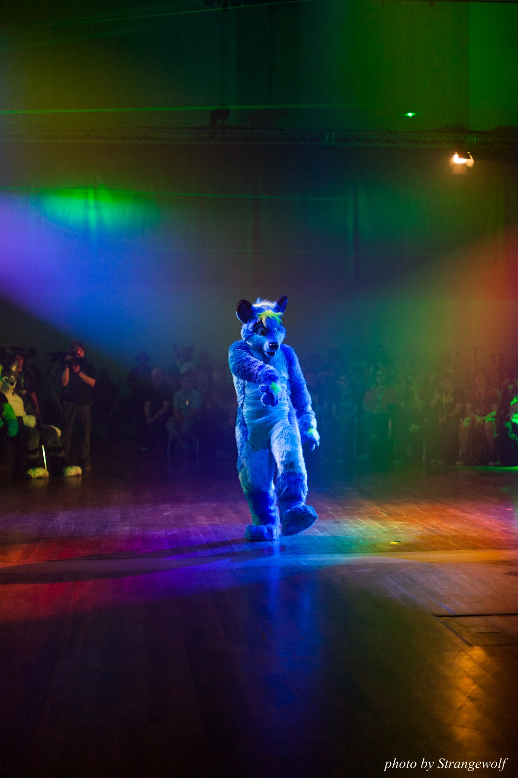full image IMG_2822-lr16t-2.jpg