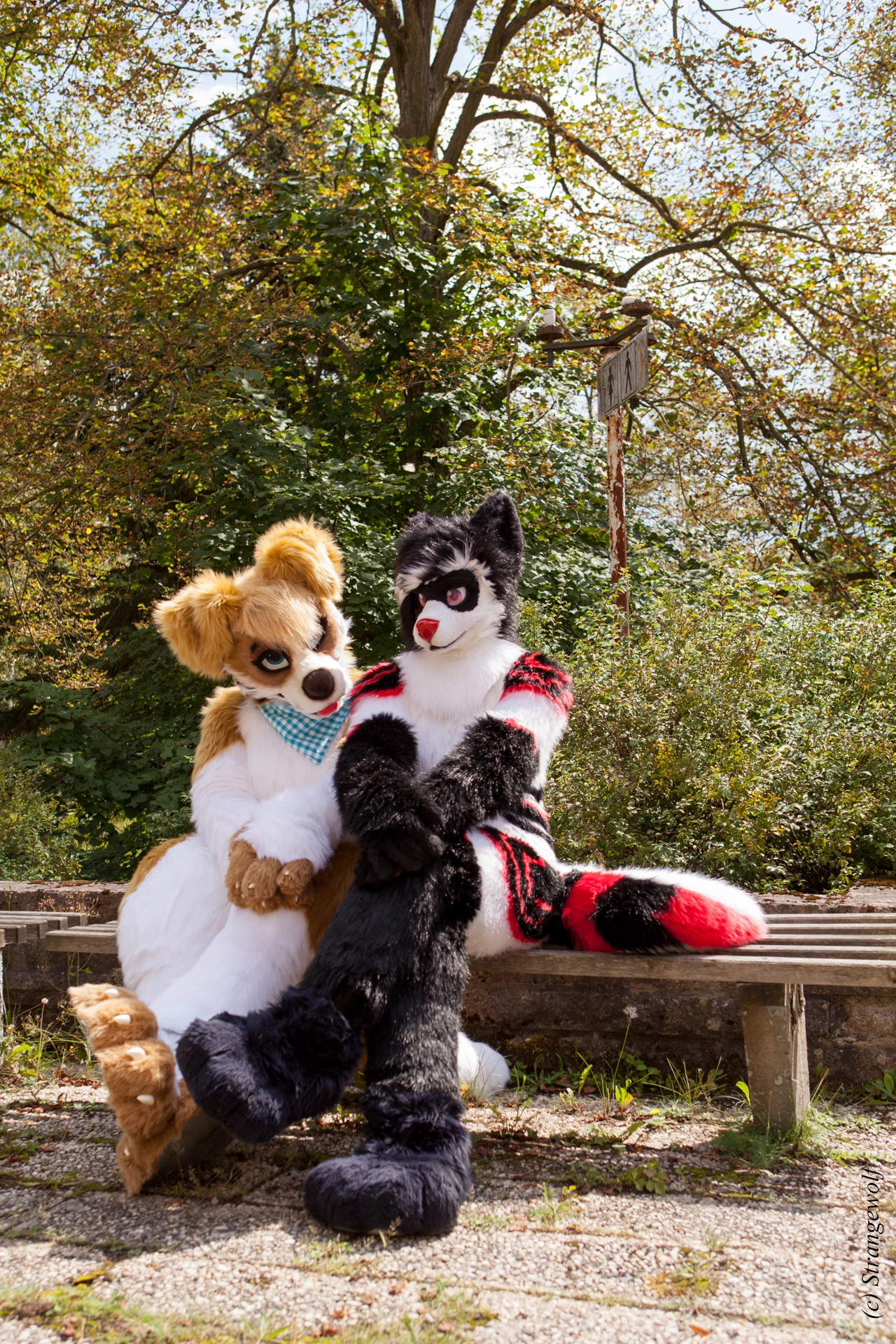 full image IMG_5989-lr19t.jpg