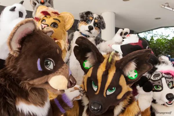 IMG_4923-lr19t.jpg of EF/EF24/Fotoshoot-Neonfurs/