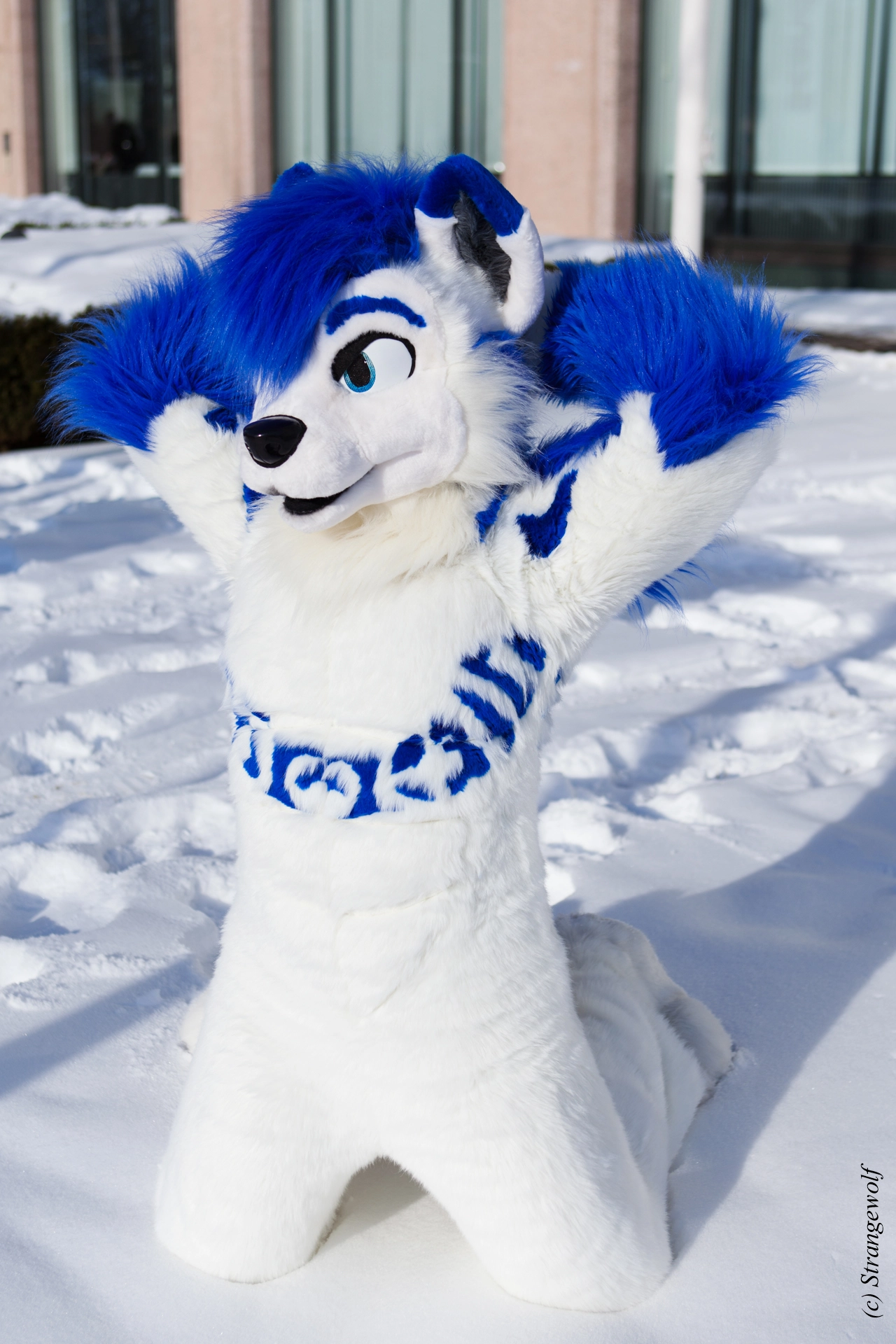 full image IMG_9908-lr19t.jpg