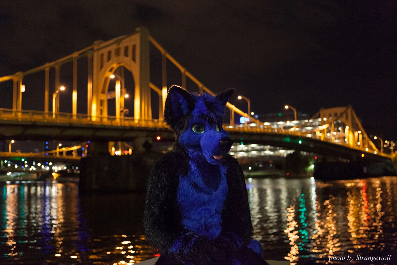 full image IMG_8515-lr16t.jpg