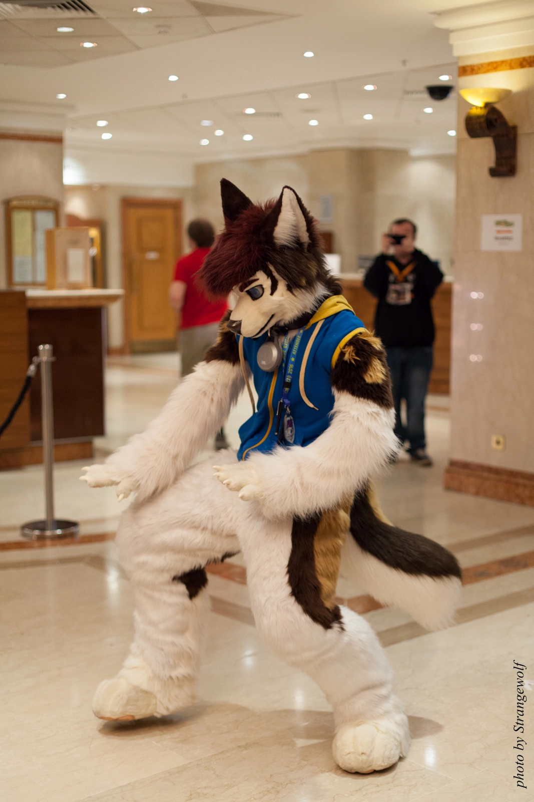 full image IMG_7603-lr16t.jpg