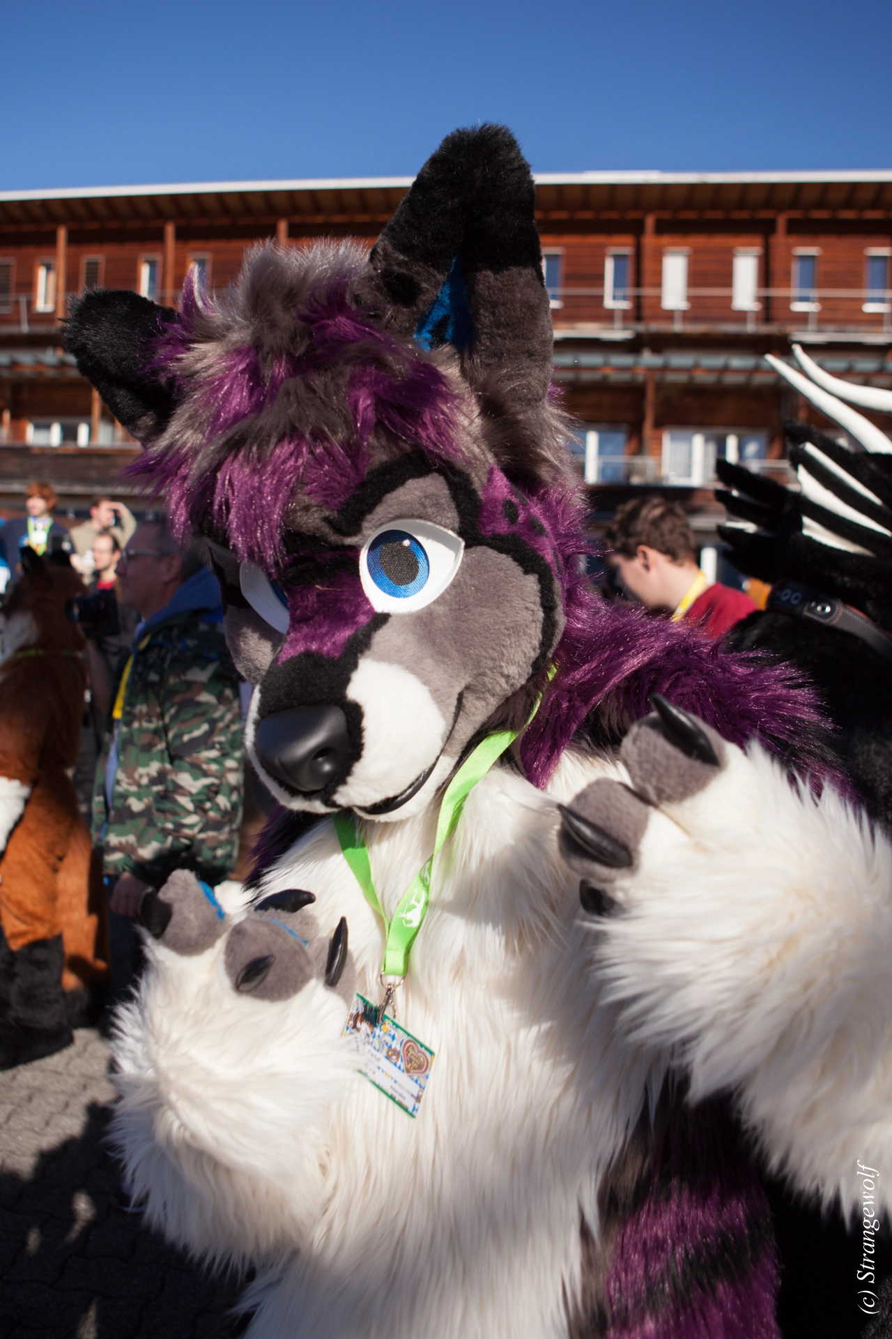 full image IMG_0544-lr19t.jpg