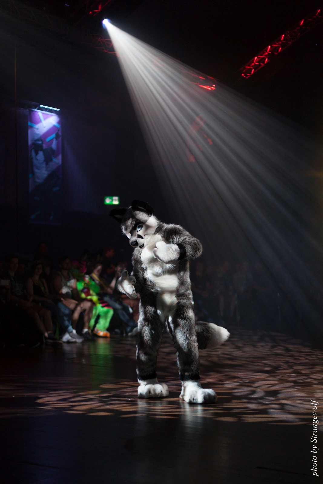 full image IMG_9265-lr16t.jpg