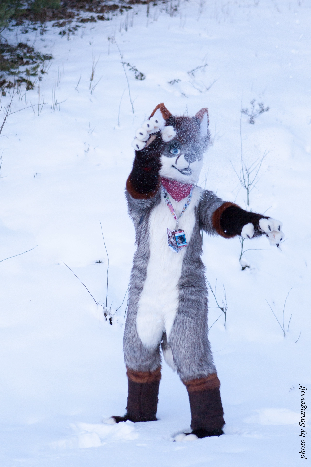 full image IMG_0562-lr19t.jpg