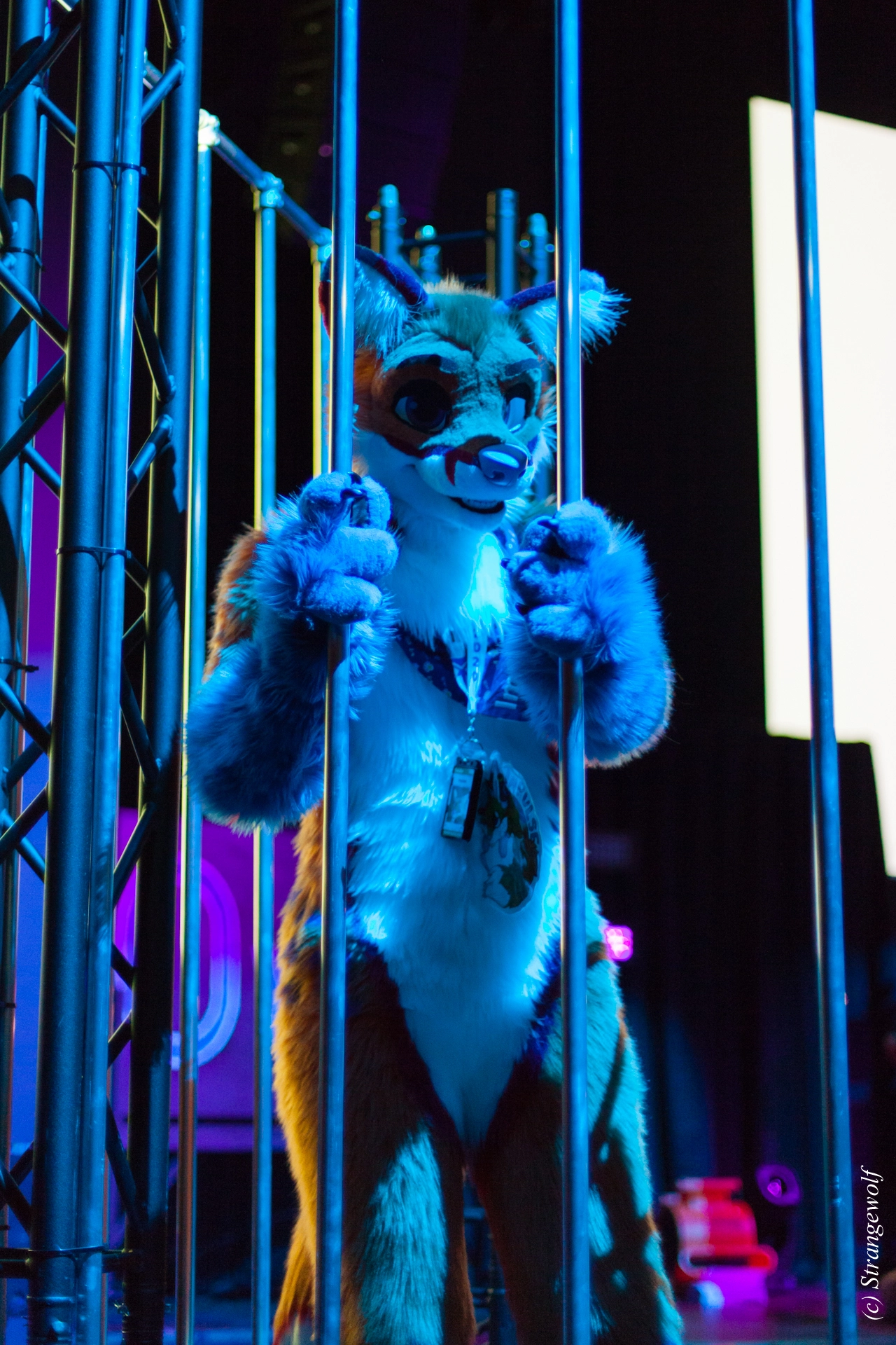 full image IMG_9280-lr19t.jpg