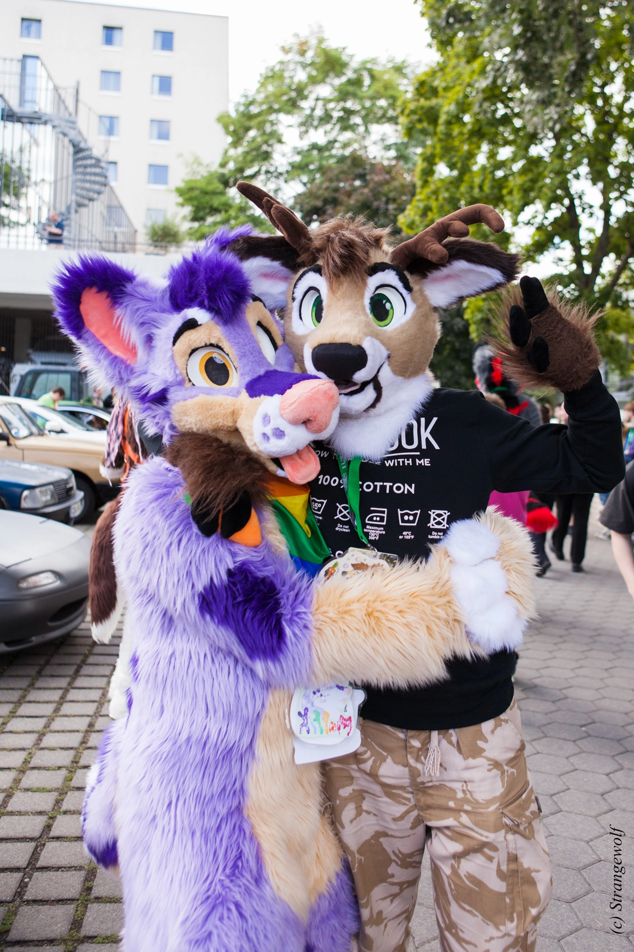 full image IMG_6951-lr19t.jpg