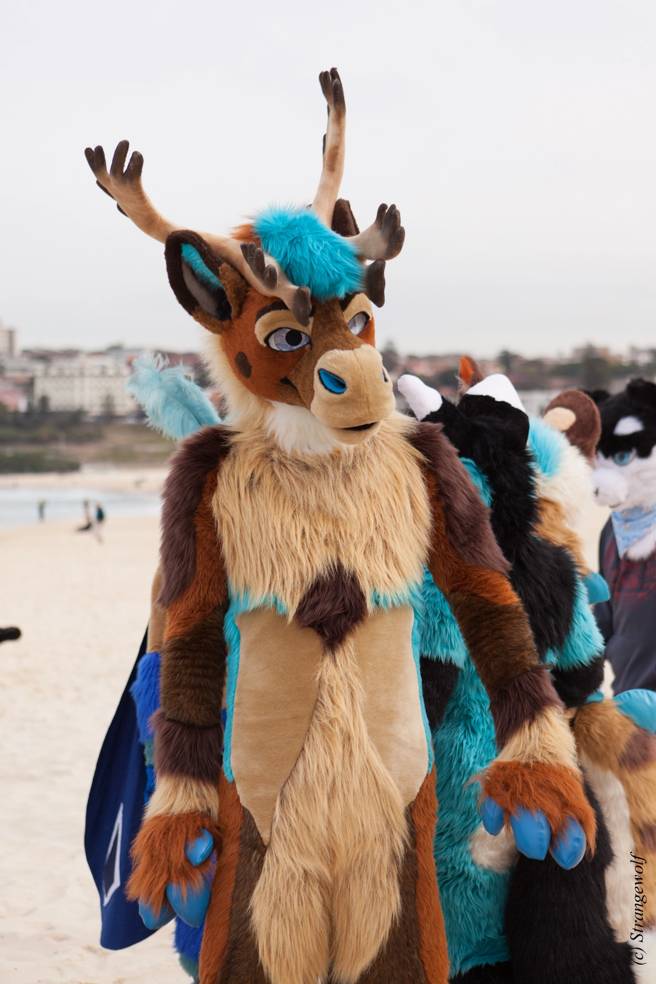 full image IMG_4431-lr19t.jpg