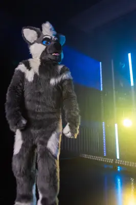 1R3A4888-lr19t.jpg of MFF/MFF2024/