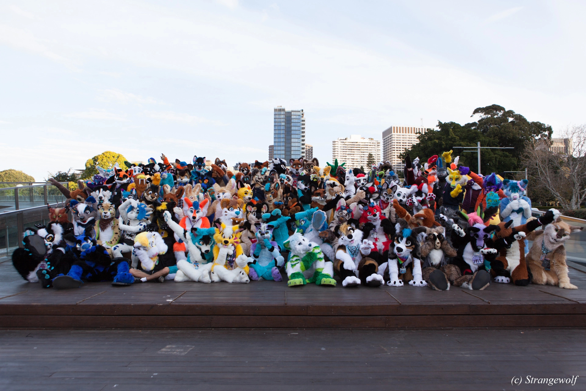 full image IMG_4627-lr19t.jpg