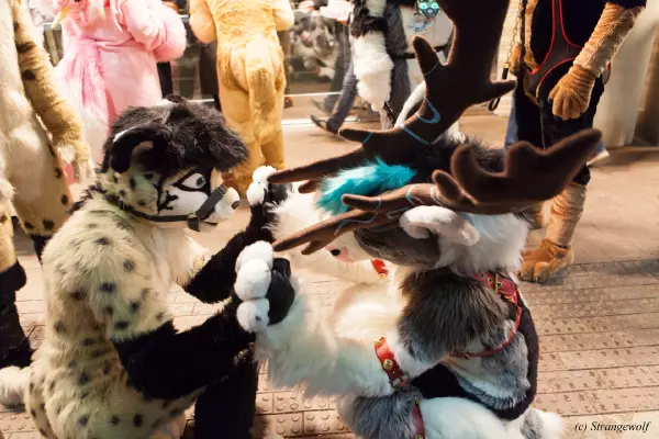 IMG_6875-lr19t.jpg of MFF/MFF2018/